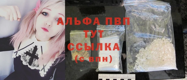 прущие грибы Горнозаводск