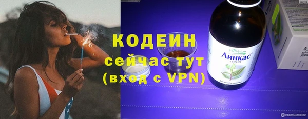 прущие грибы Горнозаводск