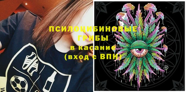 соль ск Горняк