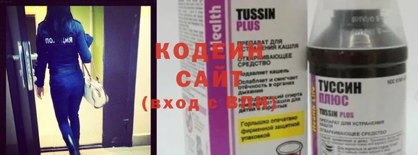 прущие грибы Горнозаводск