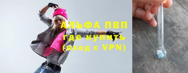 прущие грибы Горнозаводск