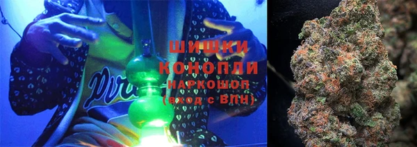 прущие грибы Горнозаводск