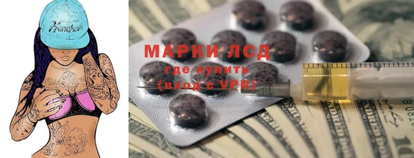 прущие грибы Горнозаводск