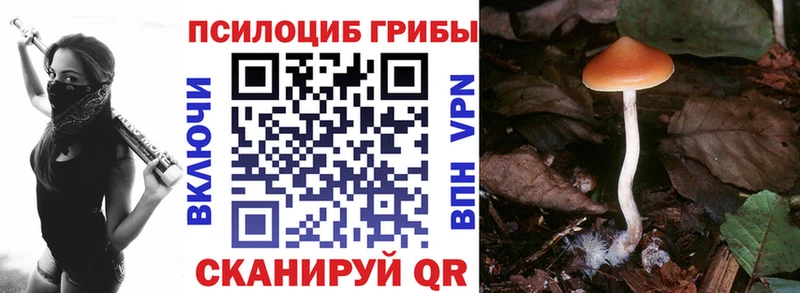 Галлюциногенные грибы ЛСД Невель